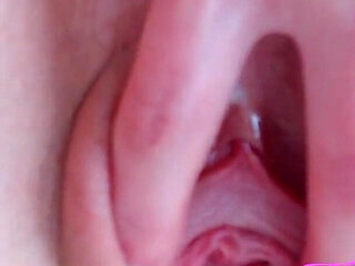 POV -       .mp4