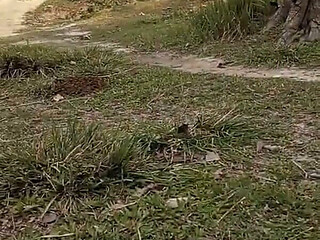 Jangal Me Chut Ka Maggal