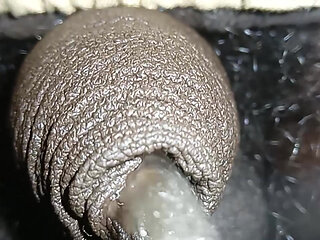 Roji Cd ko sissy chhoti Kala land dikha diya aaj mujhe bathroom mein desi cd ladyboy