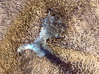 lot of sprems cumed in hana pussy tiny hole wet cute pussy