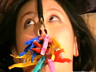 Introducing Tigerr, K. Li