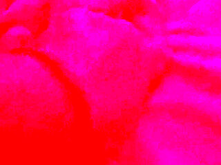 My Feet