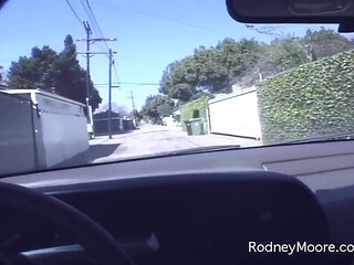 Vintage Swallow Asian Cutie Hooker Fantasy