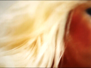 Michelle Thorne Gets Her Boobies Covered in Jizz