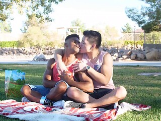 Gay Picnic in the Park