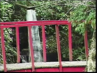 Old vintage porn: A boy is buggered by a cute shemale in a park