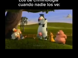 Los de criminalistica XD (meme)
