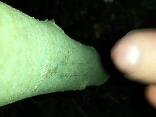 I Added My Cum on "cruising Cum Tree"