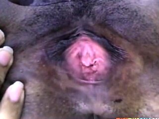 Black Girl Masturbates on Webcam