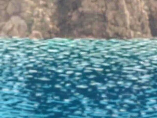 Complete Gameplay - Seaside Mystery, Part 29