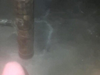 Stepbrother's dick sucker