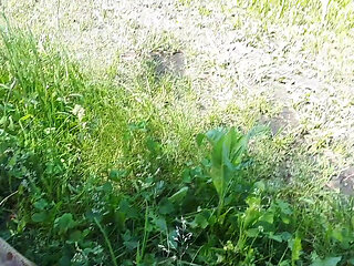 He Came to Fuck with His Mistress in the Forest