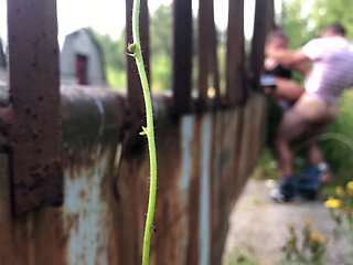 How I Love Summer for the Opportunity to Fuck in the Bushes