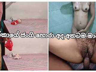       ( ) Sri Lankan Thief Jangi Was Caught By The Sister