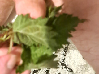 My first sounding with stinging nettles