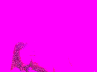 I Found This Video Among the Lost Things