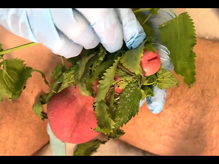 CBT Pumped Stinging Nettles Cum