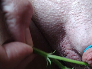 First nettles of spring!