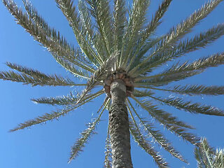 Outdoor, pool fuck for the young -titted Russian teen