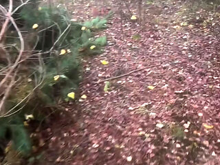 Clothes left in car.  an hour naked walk from car and back in woods barefoot