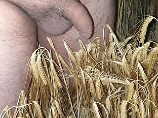 I'm walking around naked at night in neighborhood