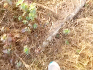 Big cock hand job with condom cum show