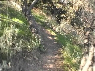 Huge facial after hardcore anal fuck with slutty French babe