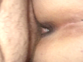 Arabian Wife