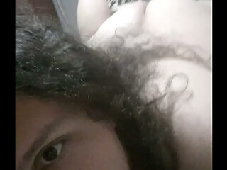 Trans brasileira