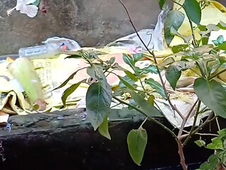 Sexy bhabhi devar ne flating karke pata liya uske baad puri raat kiya sex