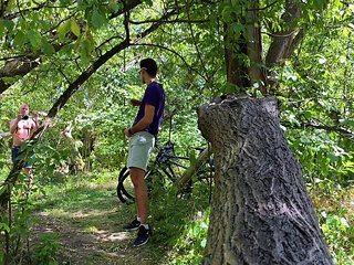 Dick Sucking in the Forest