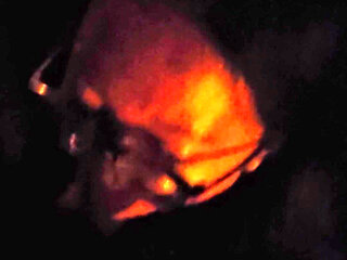 Blowjob in the Street