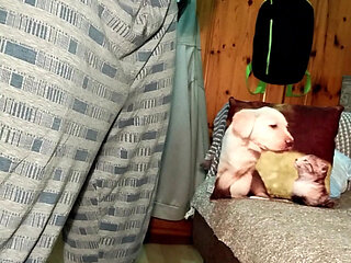 Big Dick Gay cums before bed