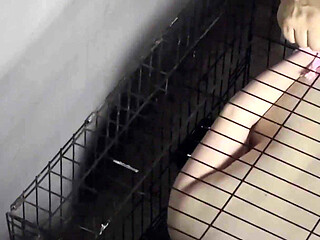 Two Guys Locked girls in a Cage and All Night