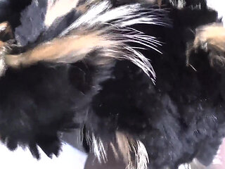 Ejaculation Training: Sniffing and Cumming on a Fur Scarf, Lady Victoria Valente