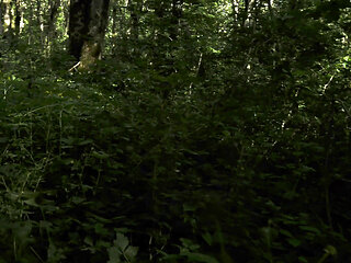 trailer Mesmeriza 23 03 MOV CINEMA CLIP 322 20240814144714515