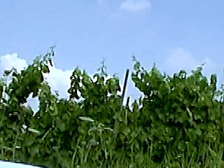 Lesbian Outdoor Sex with Sex Toys