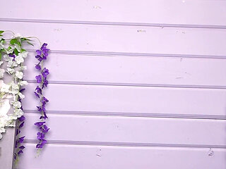 6 Pairs of Shoes, Many Views Striptease in Shoes