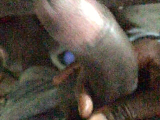 Sl Big Cock Handshake Bull Master