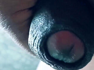 Desi gay daddy horny