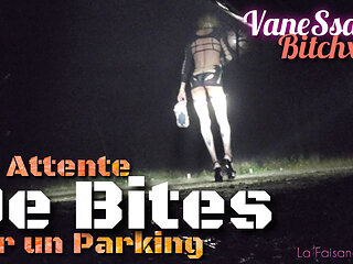 Waiting for nice cocks,ass in the air in a parking lot at night. La Faisanderie91 VaneSsaBiTCHx PariSChienneTrvprod91