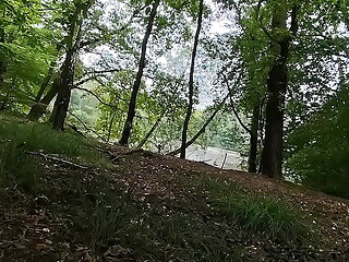 in the rainiy forrest