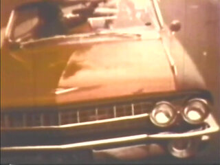 Vulgar Capricious Pig