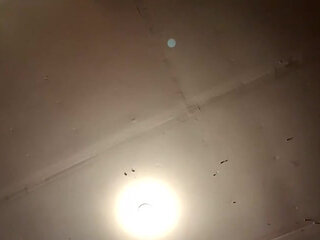 Stream Started at 02182024 08:43 Am I Hope You Catch This One