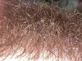 Brushing My Bush