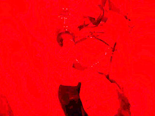 Red Room with My Lover While My Husband Is at Work