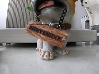 Welcome to Our Sex Life I Go Into the Room to Fuck Because I Love It When You Full My Latina Pussy with Huge Cumload - Jhodez1