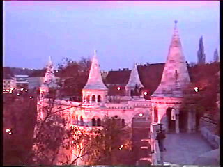 Blonde stripper bends showing shaved pussy