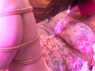 Placing the Little Stepsister in the Wardrobe 02