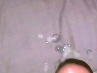 The Narrow and Milky Cat